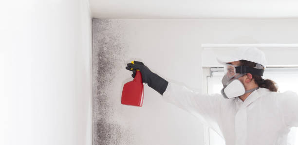 Best Crawl Space Mold Removal  in Iola, WI